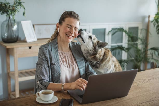 Mulher mexendo no laptop enquanto cão lambe sua bochecha.