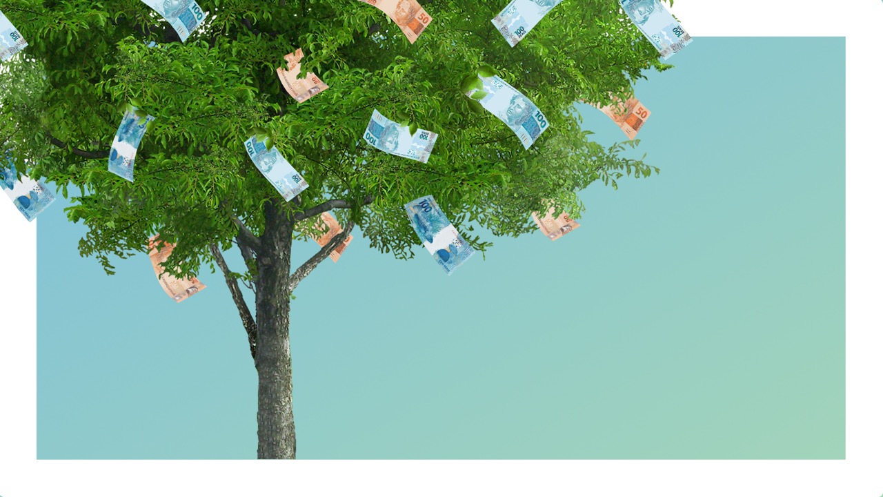 A imagem mostra uma árvore ao lado esquerdo com notas de dinheiro, relembrando a expressão de “dinheiro não dá em árvore”.
